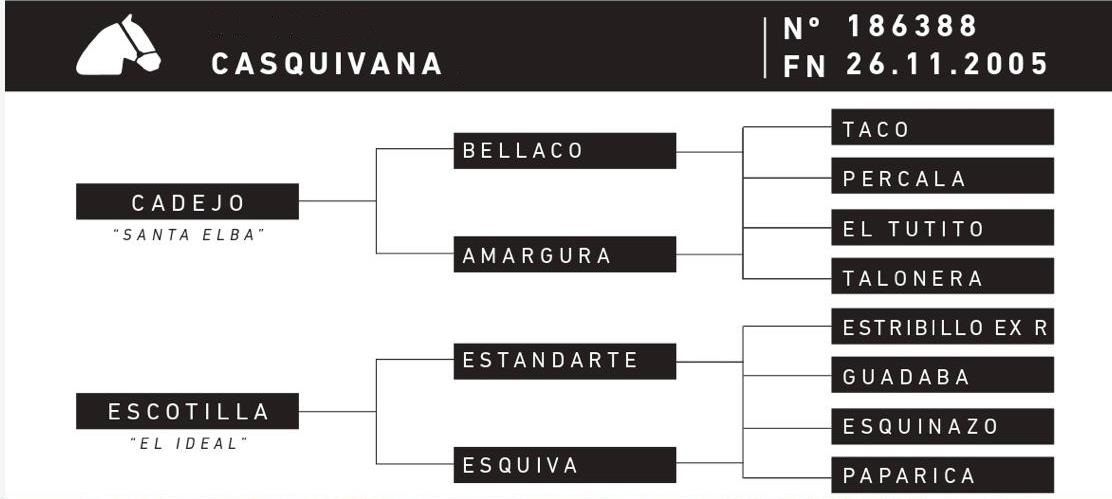 Linda Yegua Casquivana de El Vaticano