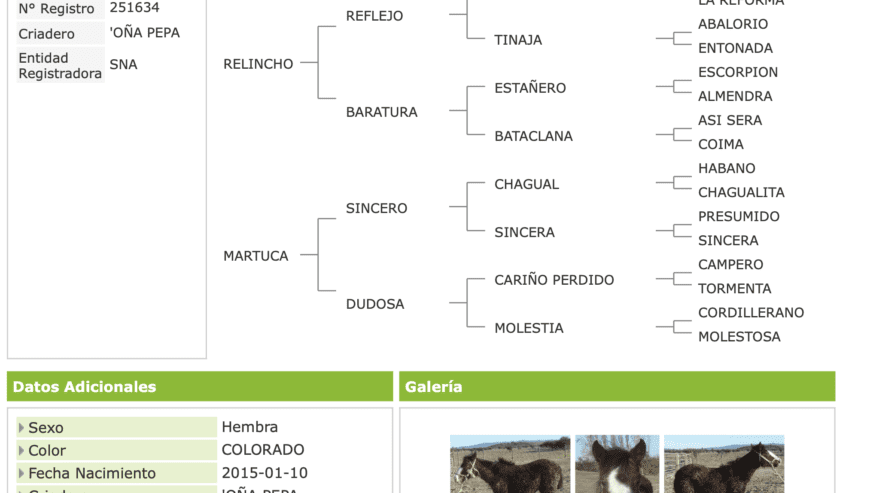 VENDO YEGUA INSCRITA PARIDA MAS POTRILLO INSCRITO