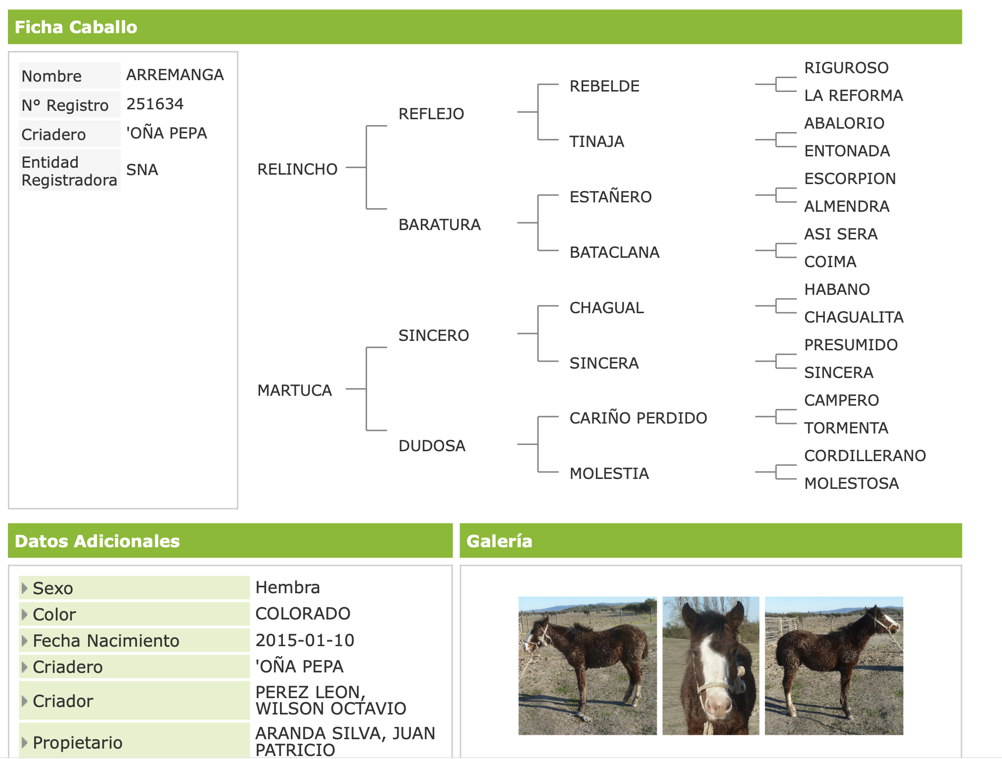 VENDO YEGUA INSCRITA PARIDA MAS POTRILLO INSCRITO