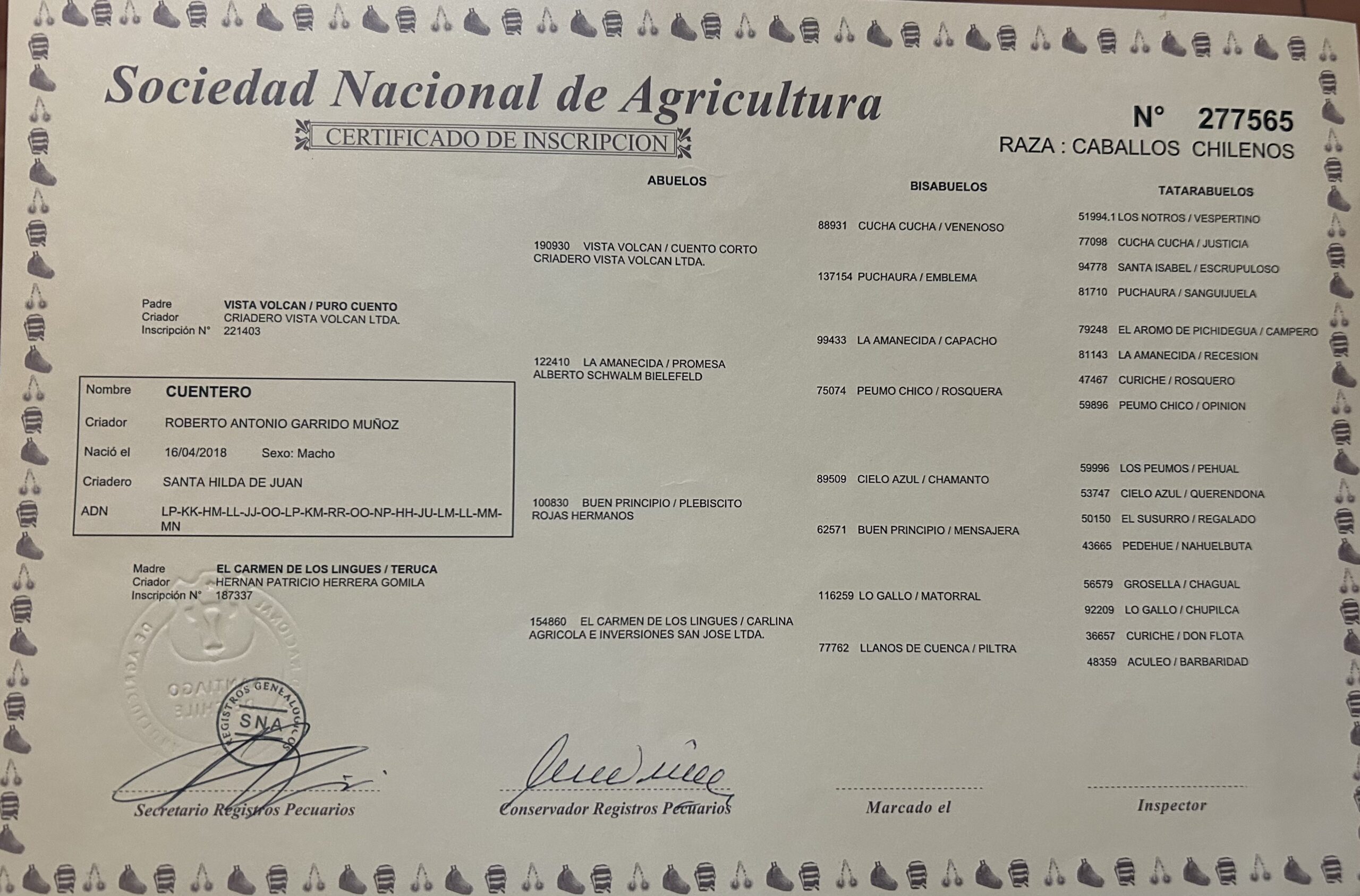 Se vende nieto de plebiscito por la madre, su padre vista volcan puro cuento linea venenoso