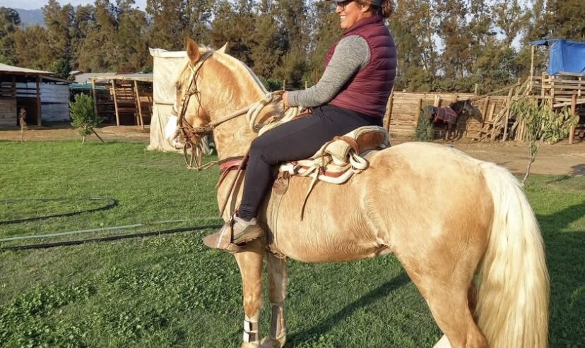 Vendo Caballo Corralero a Toda Prueba