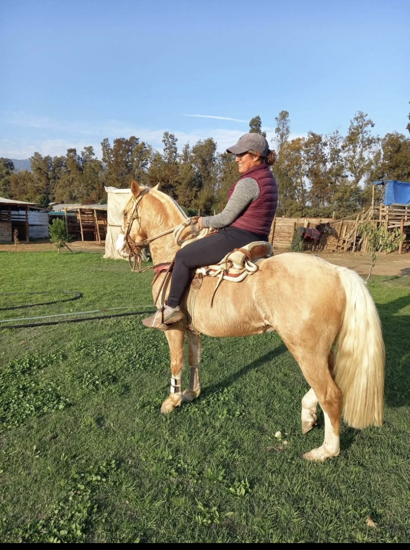 Vendo Caballo Corralero a Toda Prueba