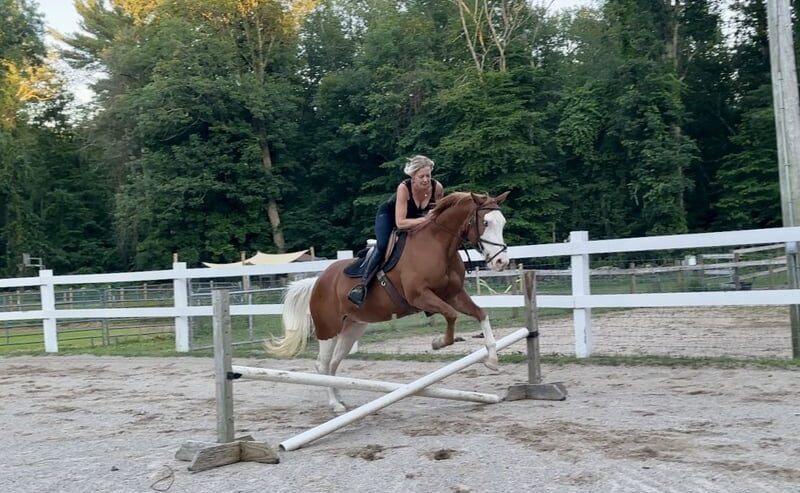 Cheeks (Paint Horse) en vente
