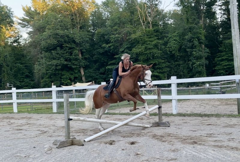 Cheeks (Paint Horse) en vente