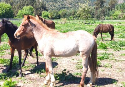 e1e31fb5-6d6c-40f4-aae9-0d479c74cbbf