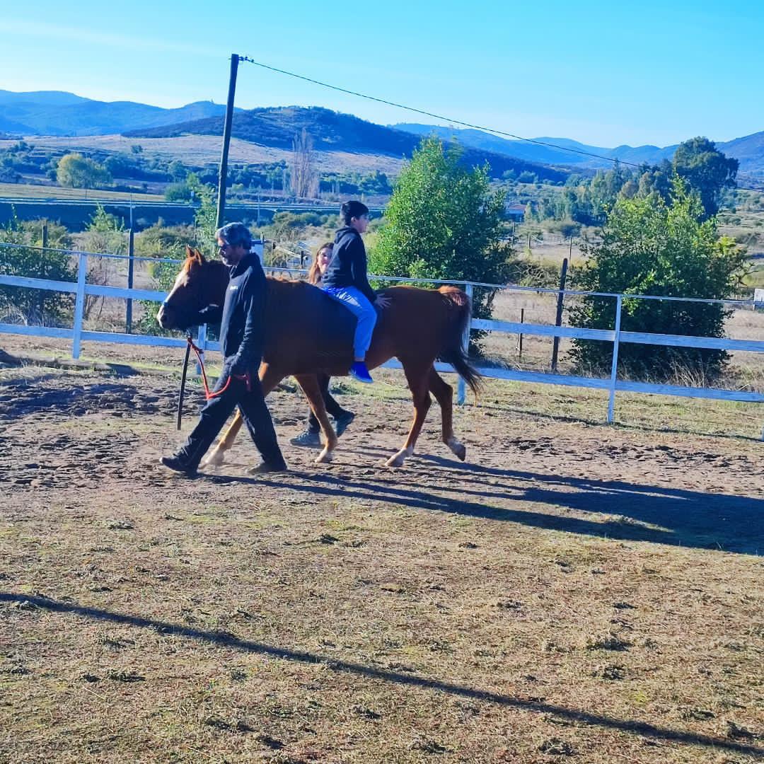Vendo Caballo Anglo-Arabe