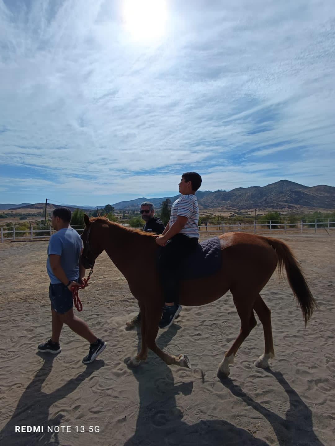 Vendo Caballo Anglo-Arabe