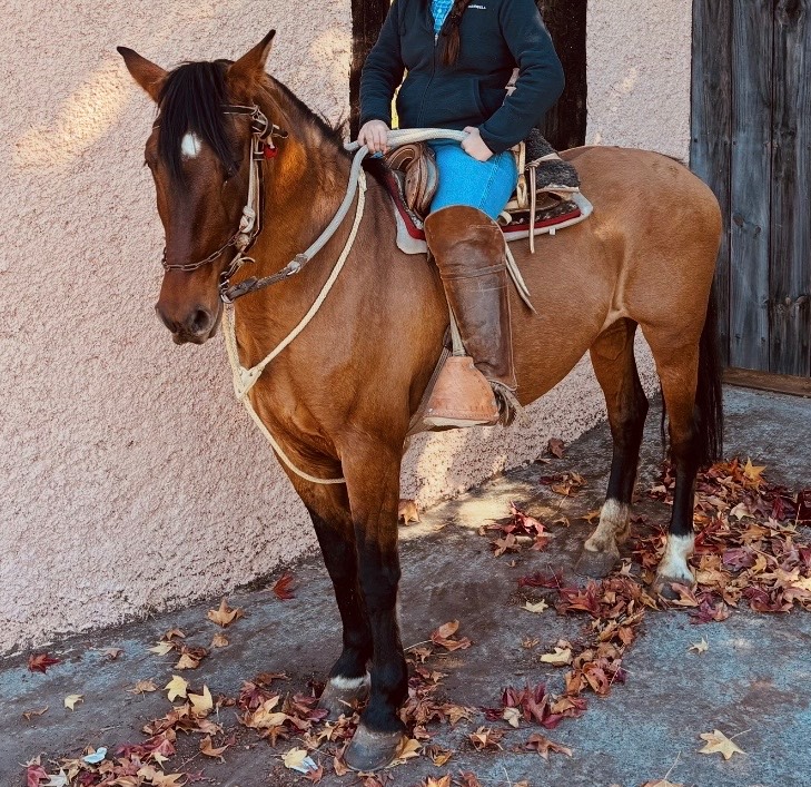 Vendo Bonita Yegua Mansa