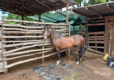 Screenshot_20260420_142709_WhatsApp