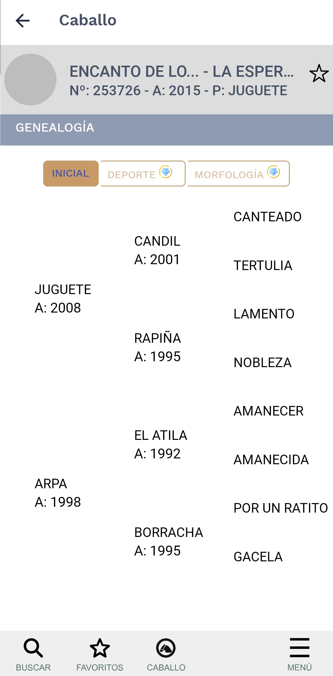 Vendo Yegua Corriendo